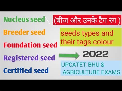 foundation seed tag colour|Seed Certification Standard in the Philippines.